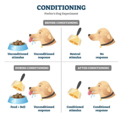 Conditioning - Pavlov's Dog Experiment graphic